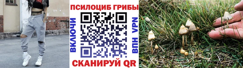 Галлюциногенные грибы ЛСД Мурманск